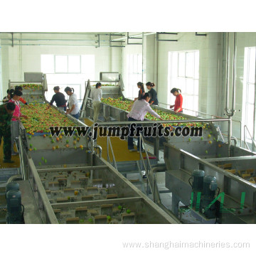 Banana Processing Line For Banana Chips